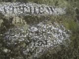 image of grave number 144716